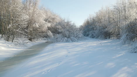 zoom-out-view-of-frozen-creek-in-the-woods