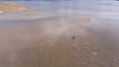 Zwei-Hunde-Laufen-Im-Seichten-Meereswasser-Auf-Der-Insel-Diaporos,-Sithonia,-Griechenland