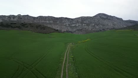 Luftaufnahmen-Von-Drohnen-Fangen-üppiges-Tal-Mit-Hoch-Aufragenden-Bergen-Im-Hintergrund-Unter-Bewölktem-Himmel-In-Südspanien-Ein