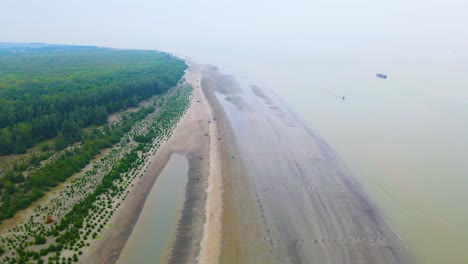 Plantación-De-árboles-Como-Protección-Contra-Tormentas-En-La-Costa-Del-Mar-Índico-En-Bangladesh