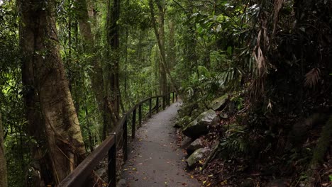 View-of-the-walking-trail-and-forest,-Natural-Bridge,-Springbrook-National-Park-Gold-Coast,-Australia
