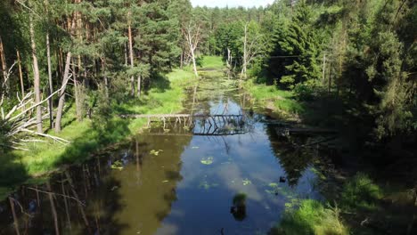 Laguna-De-Agua-Lago-Antena-Dolly-Grúa-Pluma-Inclinación-Perdida-Naturaleza-Olvidada