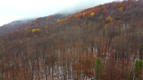 Aerial-image-of-a-burned-area-at-an-environmental-preservation-site-in-Mount-Washington,-New-Hampshire,-USA