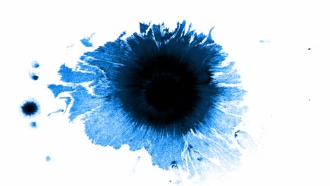 Spritzer-Und-Flecken-Blauer-Kobalttinte,-Die-Sich-Auf-Weißem-Hintergrund-Ausbreiten