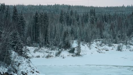 Slow-Camera-Pan-Across-Environmental-Frozen-Winter-Lake-Shoreline-Tree-Nature-Damage-Destruction-Flooding