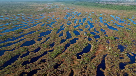 Aerial-footage-of-beautiful-Kemeri-national-park-in-central-Latvia