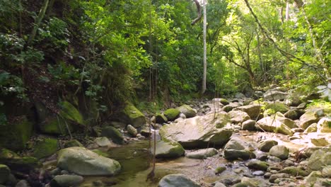 Bach-Fließt-Durch-Steine-Im-Regenwald-Mit-Lianen-Oder-Reben,-üppige-Tropische-Vegetation