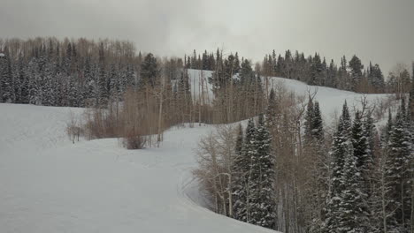 álamo-Temblón-Suero-De-Leche-Masa-De-Nieve-Tierras-Altas-Ajax-Colorado-Esquí-Snowboard-Sendero-Correr-Bosque-X-Juegos-Invierno-Nublado-Nieve-Fresca-Polvo-Telesilla-Vista-Escénica-Paisaje-Suave-Cardán-Pan-Derecha-Cámara-Lenta