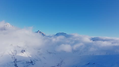 Nebligen-Morgen-Offenbart-Schneebedeckte-Bergkiefern