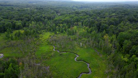 Aerial-Video-of-Woodland-Ecosystem,-including-Swamps-and-wetlands