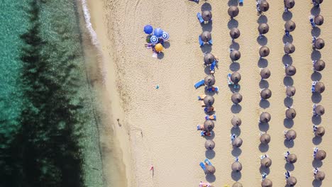 Overhead-drone-shot-of-the-Cala-Mesquida-beach-resort,-showing-rows-of-beach-umbrellas,-mats,-chairs,-and-some-beachgoers-who-are-sunbathing-on-the-sandy-beach