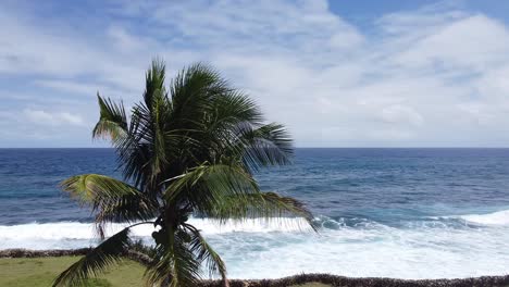 Coconut-tree-on-the-shore-with-crashing-waves-in-Philippines