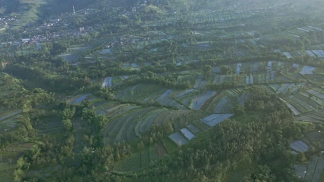 Wunderschöne-Aussicht-Auf-Die-Grüne-Plantage-Im-Leicht-Nebligen-Morgen