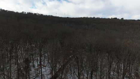 Drone-flying-above-leafless-dead-trees-in-winter,-snow-ground,-forward,-aerial