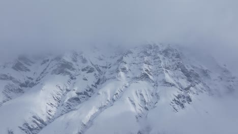 Nebelumhüllte-Latschenkiefern-Sorgen-Für-Winterliche-Stimmung