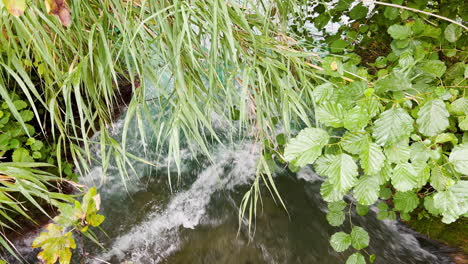 Un-Pequeño-Arroyo-Fluye-A-Través-De-Arbustos-En-El-Parque-Nacional-De-Krka.