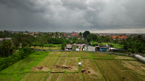 La-Campiña-De-Bali-Cautivadora-Mezcla-De-Belleza-Natural-Y-Patrimonio-Cultural.