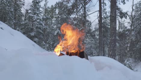 Ein-Lagerfeuer-Inmitten-Einer-Winterlichen-Landschaft---Nahaufnahme