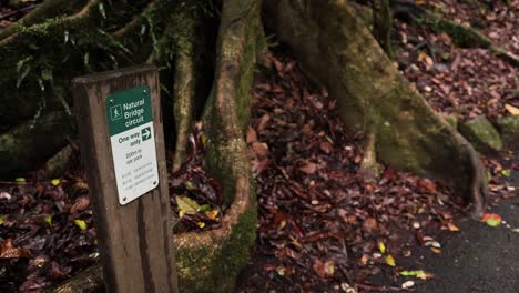 Beschilderung-Entlang-Des-Wanderweges,-Natural-Bridge,-Springbrook-Nationalpark