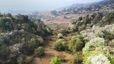 Blühende-Bäume,-Während-Die-Natur-In-Der-Mystischen-Landschaft-Des-Dry-Baron-Wieder-Zum-Leben-Erwacht