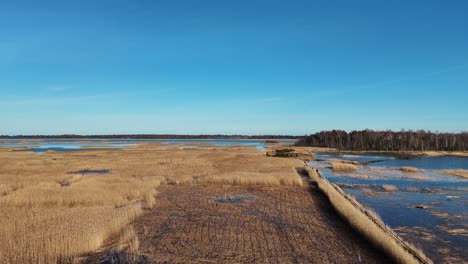 Wooden-Bords-Trail-Through-the-Kaniera-Lake-Reeds-Aerial-Spring-Shot-Lapmezciems,-Latvia