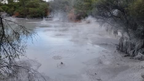 Bubbling-hot-mud-with-steam-coming-off-it-located-in-Rotorua-New-Zealand