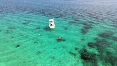 Top-down-view-snorkeling-in-clearwater-of-Clifton-Heritage-Park,-Ocean-Atlas-Sculture