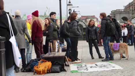 Greta-Thunberg-and-Fridays-for-Future-protesters-talk-at-rally,-Sweden