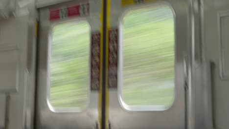Blurry-trees-pass-by-a-train-window,-captured-with-a-slow-shutter-for-motion-effect,-daylight-visible