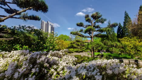 Stadtpark-Parque-Espacio-Verde-Soleado-Día-De-Verano-En-Hamburgo-Alemania-Europa-Lapso-De-Tiempo