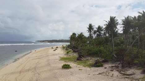 Overhead-view-of-sandy-beach-with-palm-trees