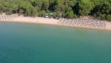 Aerial:-Tropical-pristine-beach-with-lush-pine-tree-forest-and-turquoise-water