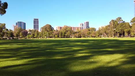 Morning-sunlight-and-shade-from-trees-on-football-oval-and-city-buildings-in-background-Wellington-Square,-East-Perth