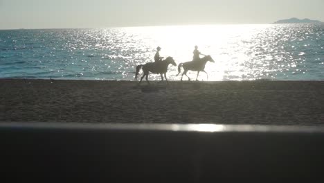 Dos-Caballos-Caminando-Por-La-Playa-Con-Sus-Dueños.