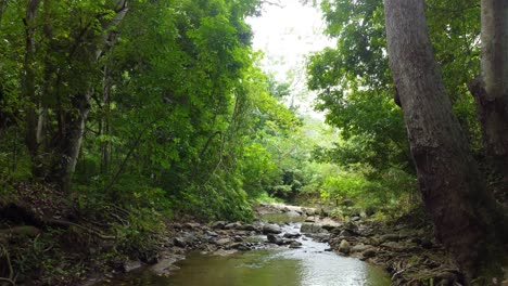 Vistas-De-La-Selva-Colombiana-En-Los-Alrededores-De-Santa-Marta,-Colombia