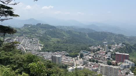 Selva-Urbana-Entre-Verdes-Picos.