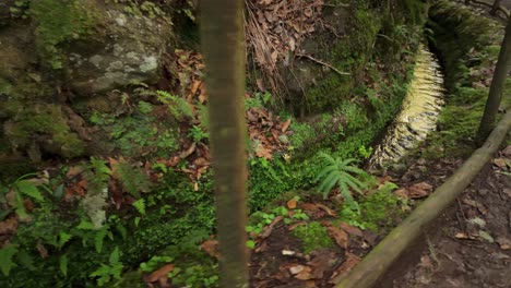 Tracking-shot-of-fresh-water-running-waterway-levada-in-Madeira-Island