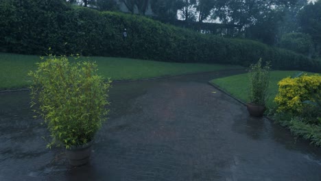 Rainy-Evening-in-a-Serene-Garden-and-pathway-in-background