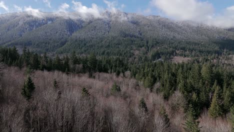 Mountain-Range-of-snow-covered-trees-in-Washington-State-North-Bend-Pacific-Northwest