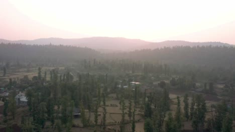 Vista-Aérea-Del-Dron,-La-Cámara-Del-Dron-Avanza-Mostrando-Casas-Residenciales-Y-Una-Gran-área-Forestal-Con-Muchos-Arbustos