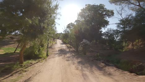 A-low-altitude-reverse-aerial-flight-glides-over-a-garden-enclosed-by-rows-of-trees-and-beneath-a-bridge-in-Jaén-province,-situated-in-Andalusia,-southern-Spain