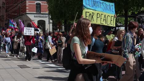 Climate-Strike-for-Peace-sign-at-environmental-rally-in-Sweden,-slomo