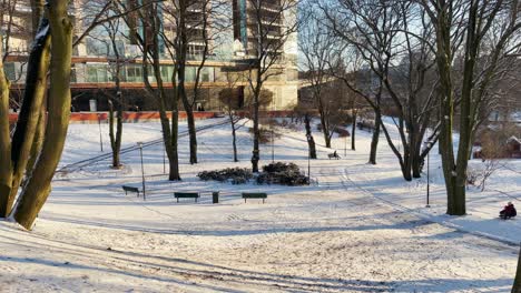 Wide-view-of-people-in-snowy-park-in-sunny-wintertime-Stockholm