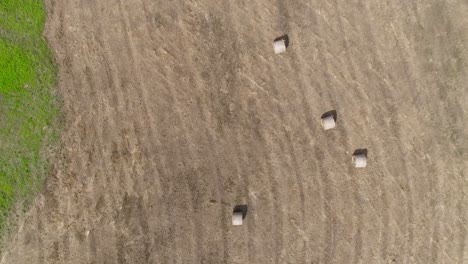 Landwirtschaftliche-Felder.-Ländliche-Landschaft,-Luftansicht