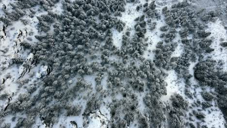 top-down-shot-of-a-snow-covered-forest-on-the-side-of-a-mountain-in-Utah