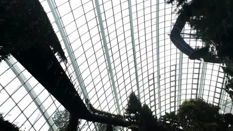 Observing-the-Lush-Greenery-in-the-Cloud-Forest-at-Gardens-By-The-Bay-in-Singapore---Low-Angle-Shot