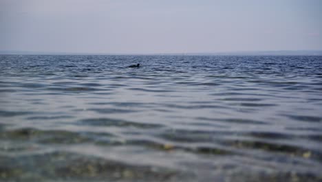 Small-waves-on-the-pebble-beach