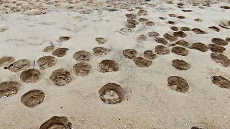 Primer-Plano-De-Muchos-Agujeros-En-La-Arena-De-La-Playa,-Creación-Natural-única-Por-El-Hielo-Derritiéndose-En-La-Arena-De-Una-Playa