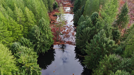 Vista-Aérea-Del-Noroeste-Pacífico-Del-Río-Con-Reflejo-De-Nubes-Rodeadas-De-árboles-De-Hoja-Perenne-Durante-El-Otoño-En-El-Estado-De-Washington