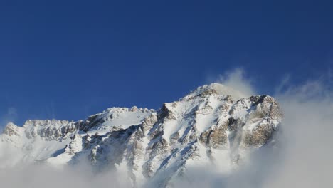 Los-Pinos-Cubiertos-De-Nieve-Emergen-Del-Brumoso-Paisaje-Invernal.